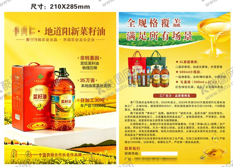 编号：56297105242215523998【酷图网】源文件下载-食用油促销宣传单页菜籽油十六开