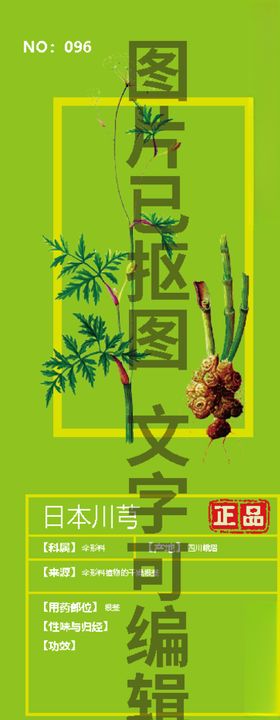 日本川芎