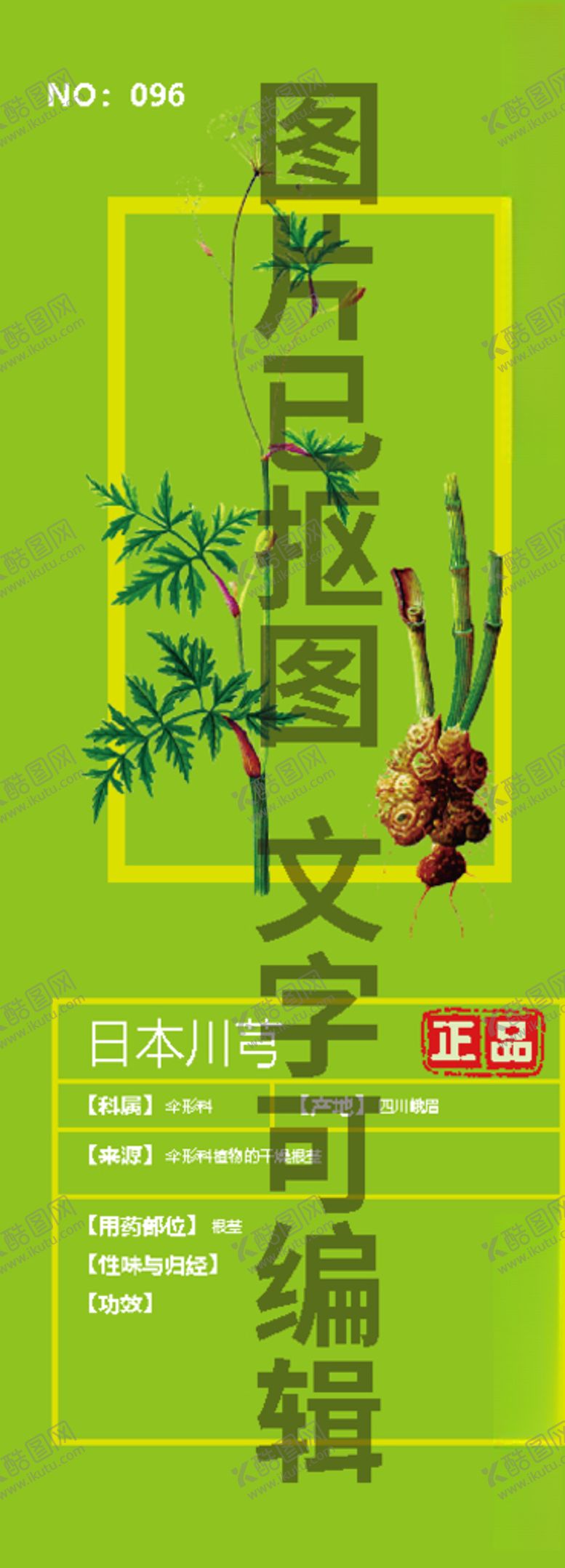 编号：63806105142229532338【酷图网】源文件下载-日本川芎