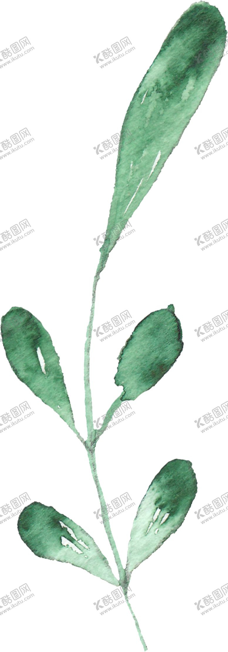 编号：17791610111347345988【酷图网】源文件下载-海报元素花草元素展架元素