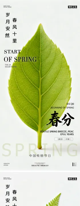 惊蛰春分叶子系列海报