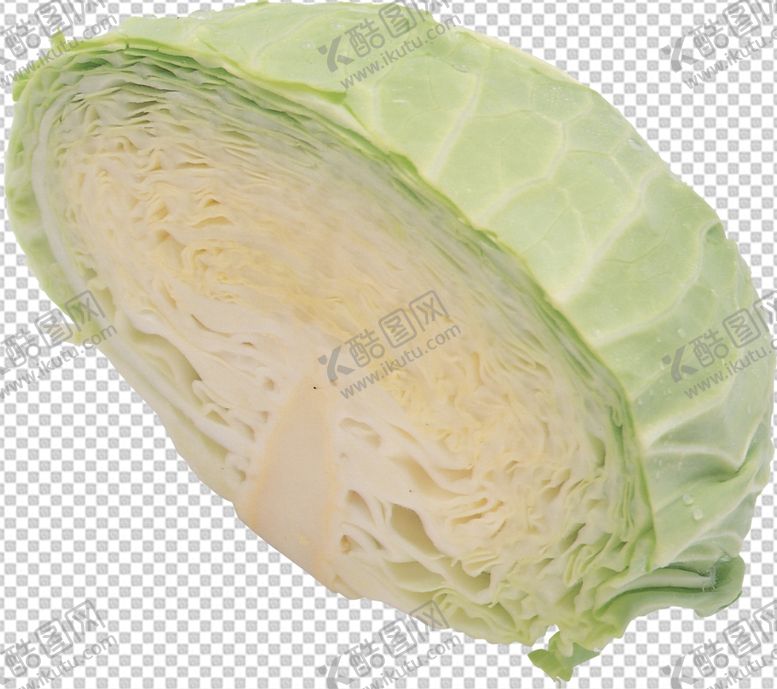 编号：87578204281956355515【酷图网】源文件下载-包菜