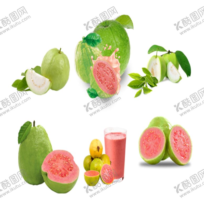 编号：84695009290200190198【酷图网】源文件下载-免抠番石榴