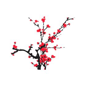梅花素材