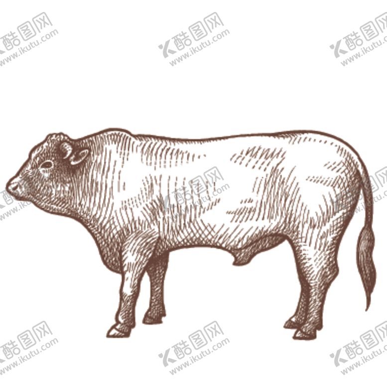 编号：36349905160358358272【酷图网】源文件下载-家养动物主题插画