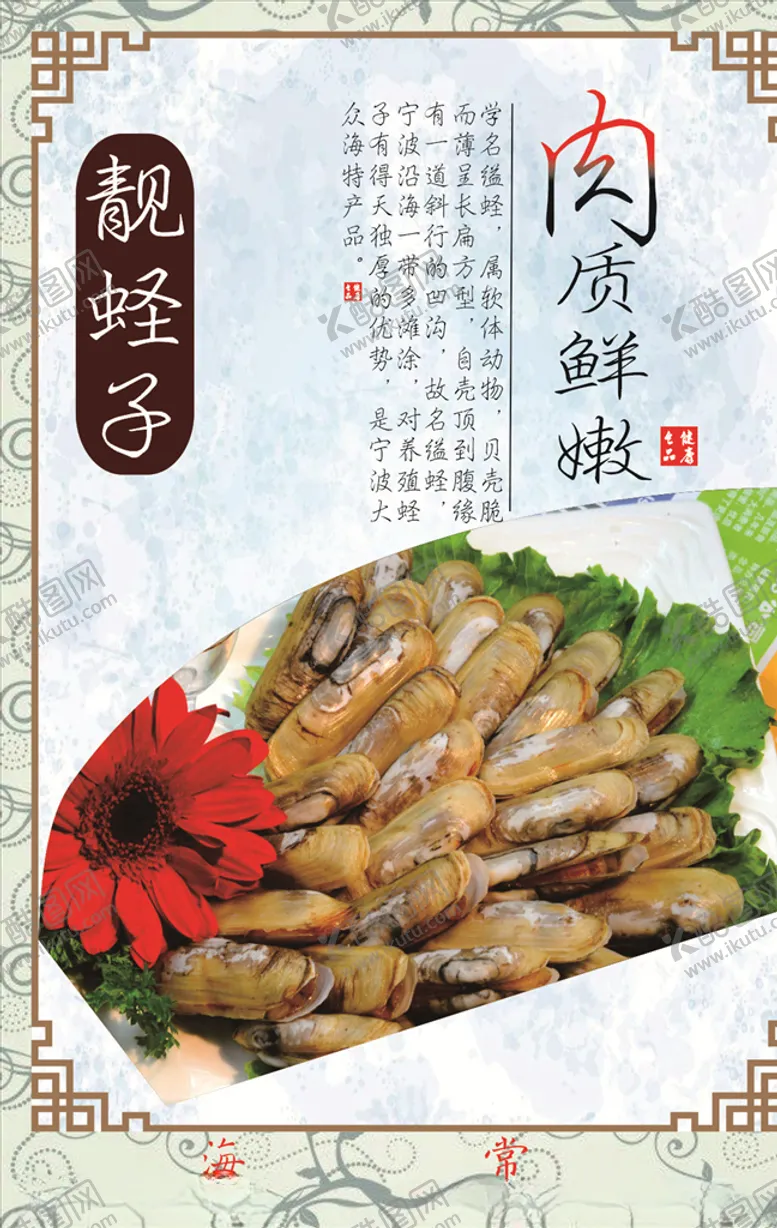 编号：38768205061558584816【酷图网】源文件下载-蛏子