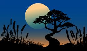 森林夜色插画