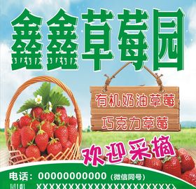 草莓采摘园