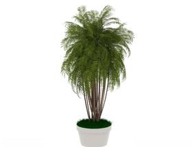 植物盆栽3d模型