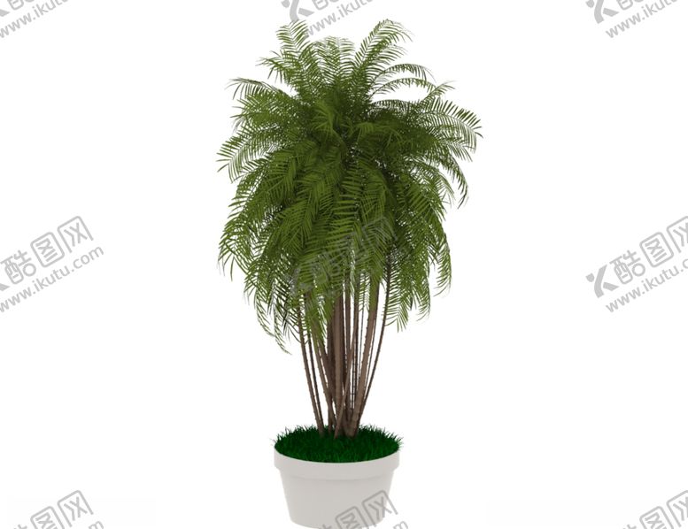 编号：55870807031555287037【酷图网】源文件下载-植物盆栽3d模型