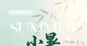 小暑大暑节气海报