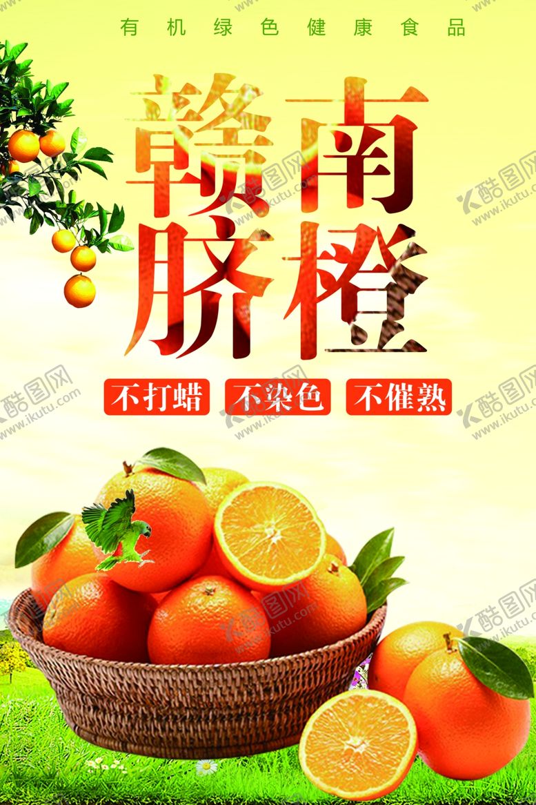 编号：96780101280649017191【酷图网】源文件下载-赣南脐橙