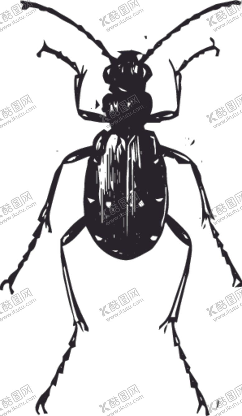 编号：92666410061200428929【酷图网】源文件下载-自然昆虫蝴蝶标本插画