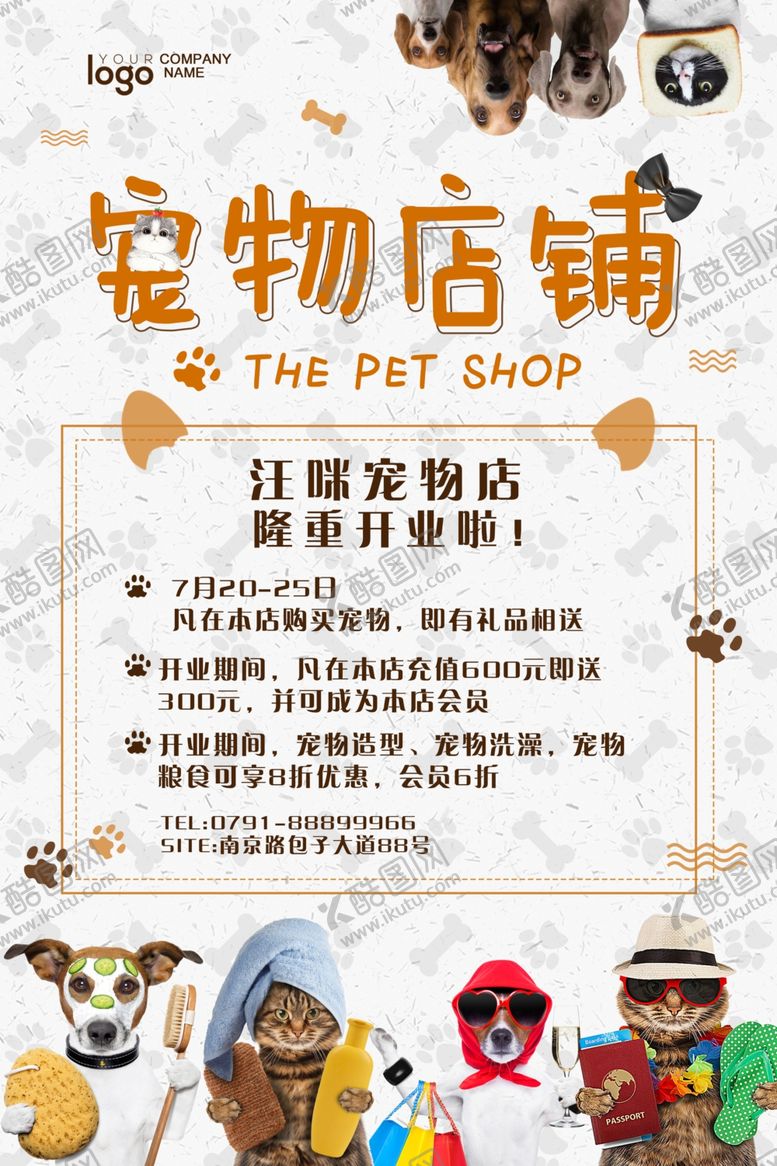 编号：09856209171801541654【酷图网】源文件下载-宠物海报