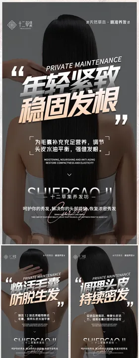 微商植物洗发水系列海报