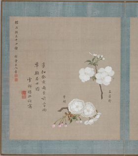 樱花