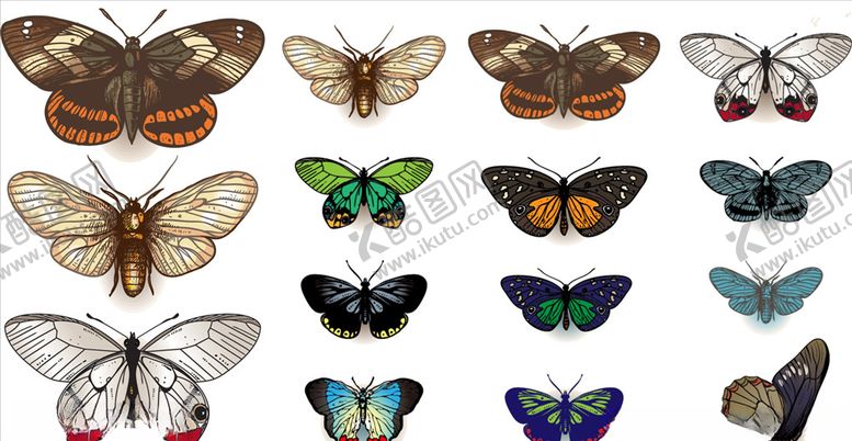 编号：25739809181613398333【酷图网】源文件下载-矢量蝴蝶图片