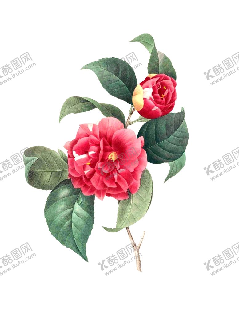编号：83047707090643511557【酷图网】源文件下载-花纹