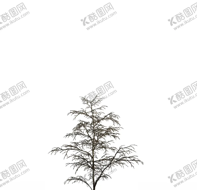 编号：32521207041646175175【酷图网】源文件下载-树木