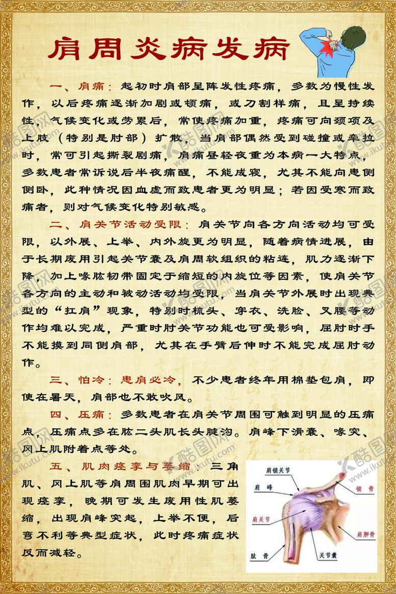 编号：62051710010153289104【酷图网】源文件下载-肩周炎病发病