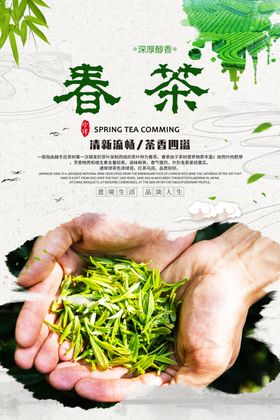 春茶海报设计