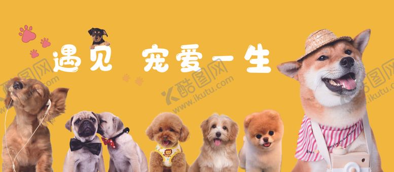 编号：82873810011347391786【酷图网】源文件下载-宠物店海报灯箱