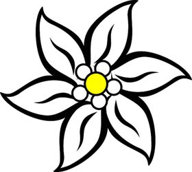 花瓣花朵粉色紫色桃花