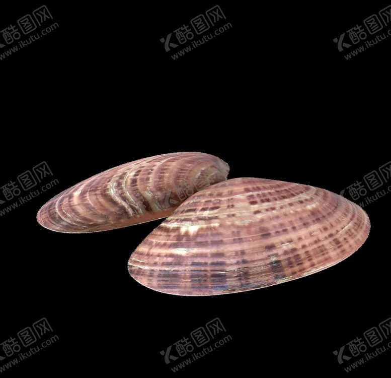 编号：40176506261955047640【酷图网】源文件下载-海洋生物