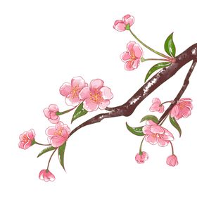 桃花背景素材