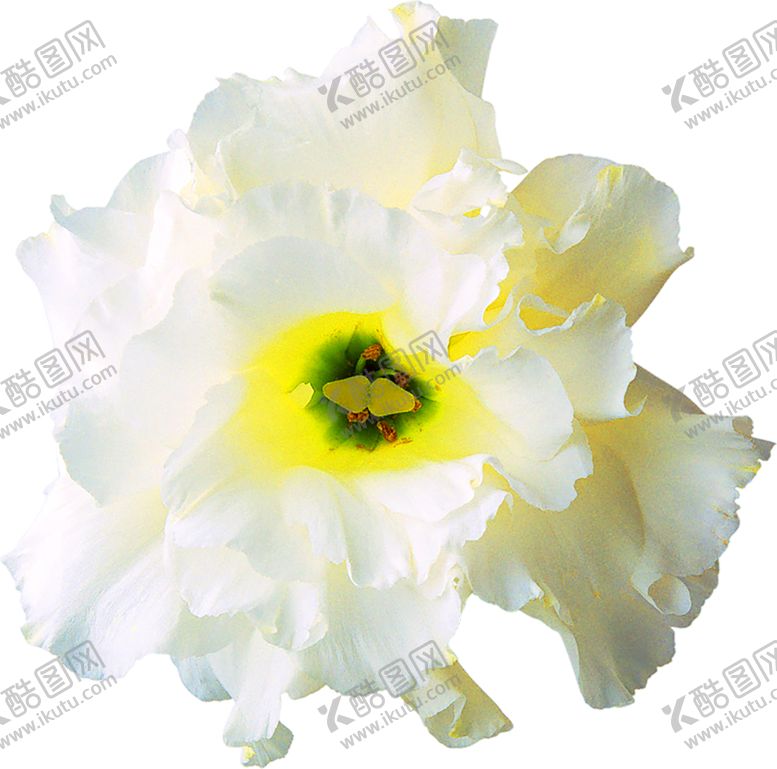 编号：87970306161213315515【酷图网】源文件下载-浪漫素材