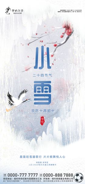 地产小雪海报