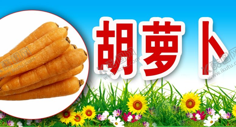 编号：44345610032230093701【酷图网】源文件下载-胡萝卜