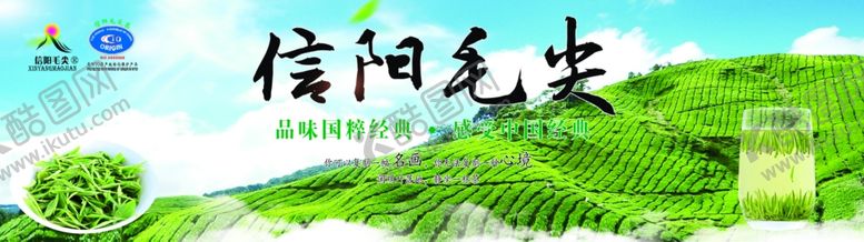 编号：10047102042016507262【酷图网】源文件下载-信阳毛尖海报