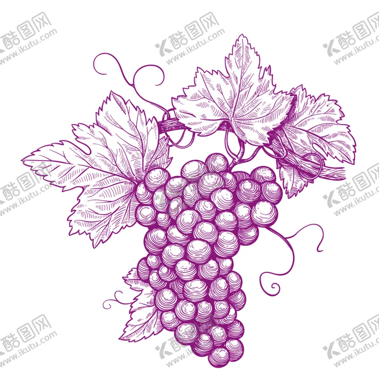 编号：44793409101507396259【酷图网】源文件下载-水果