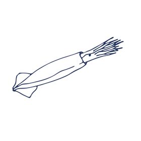手绘海洋生物