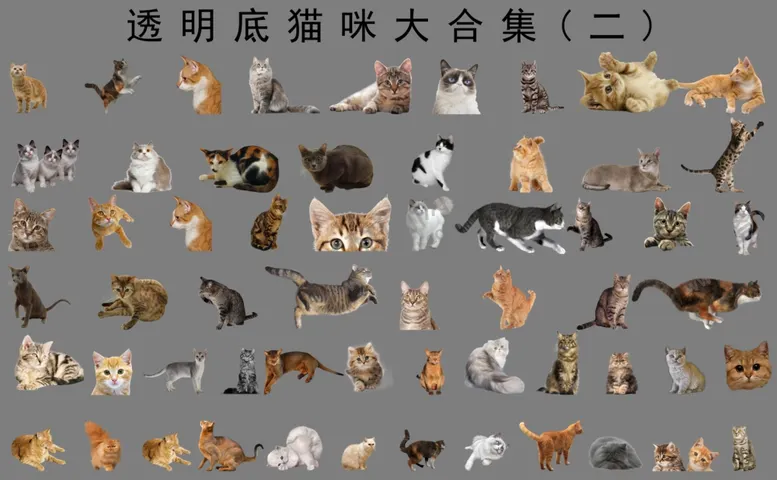 编号：77010003281527222878【酷图网】源文件下载-透明底猫合集