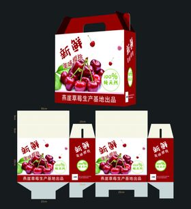 包装设计樱桃包装