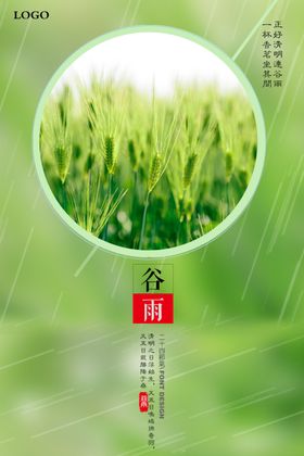 谷雨
