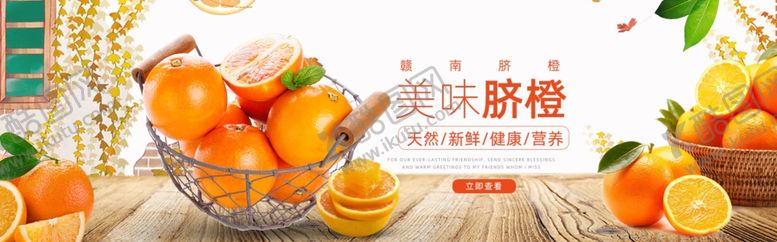 编号：26966001201805337249【酷图网】源文件下载-美味橙子