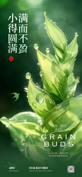 小满芒种节气稿