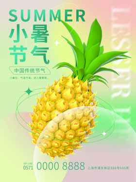 小暑节气菠萝插画海报
