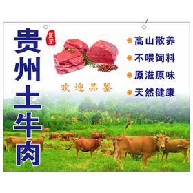 生牛肉海报