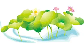 免扣荷花素材工笔画莲底纹莲元
