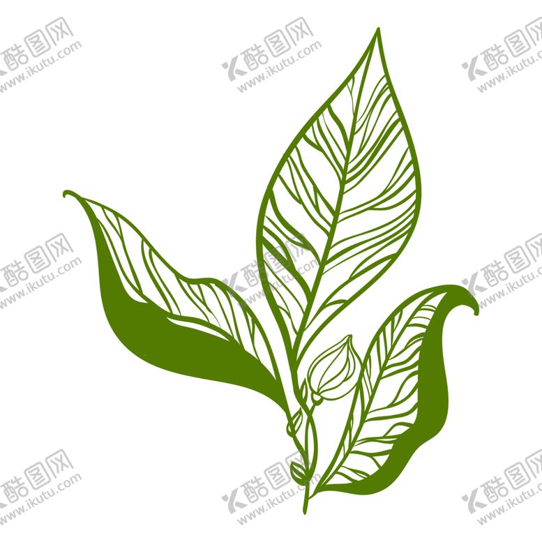 编号：38264106301125106841【酷图网】源文件下载-手绘植物