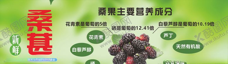 编号：83709803292154205865【酷图网】源文件下载-桑葚
