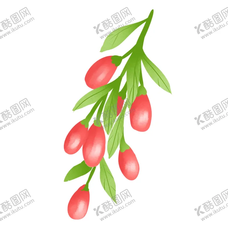 编号：46336901281402119003【酷图网】源文件下载-枸杞