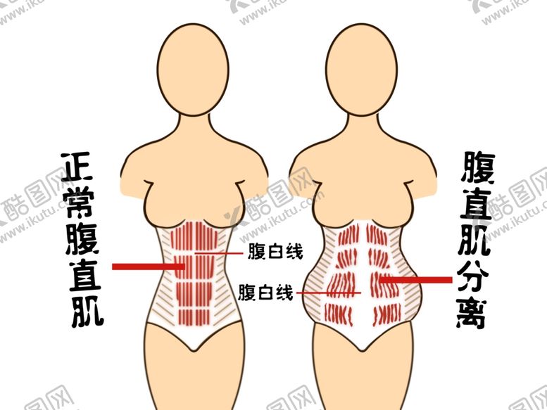 编号：44520309120908137510【酷图网】源文件下载-产后修复漫画