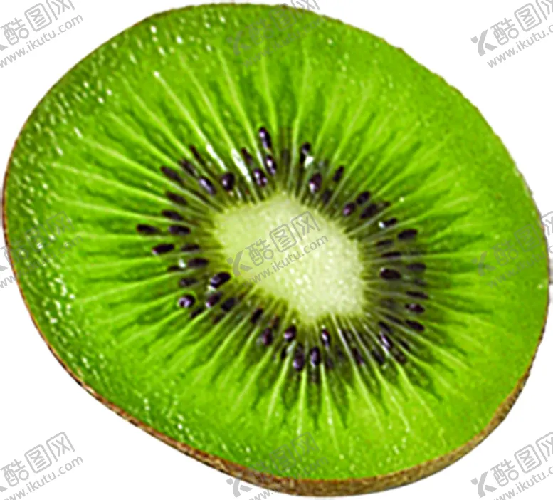 编号：55701806191442451055【酷图网】源文件下载-猕猴桃