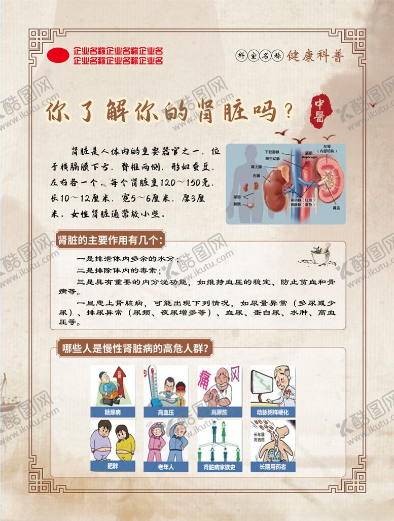 编号：58619802131104486694【酷图网】源文件下载-你了解你的肾脏吗