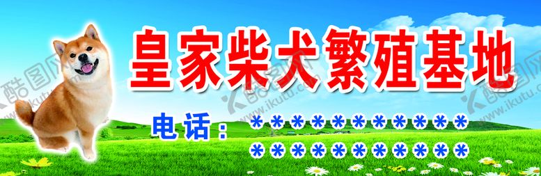 编号：30451209150236250925【酷图网】源文件下载-皇家柴犬繁殖基地
